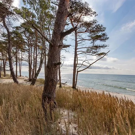 Hildegerd - 500m From The Sea By Interhome Дом отдыха Vester Somarken